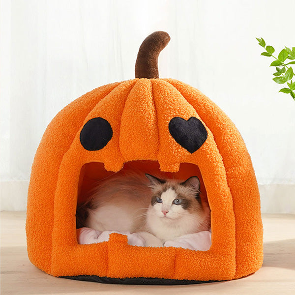 Pumpkin Cat Cave